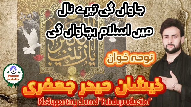 جاواں گی تیرے نال میں اسلام بچاواں گی، پنجابی نوحہ نوحہ، نوحہ خوان ذیشان حیدر جعفری Jawaan gi tary naal ma Islam bachawan gi, Punjabi noha noha 2024, Zeeshan Haider Jaffary,