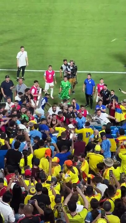 Darwin Núñez se agarra a golpes con los hinchas de Colombia
