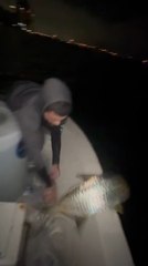 Man Loses Fish Back to Sea After Failed Photo Attempt