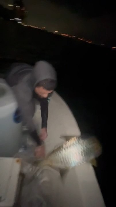 Man Loses Fish Back to Sea After Failed Photo Attempt