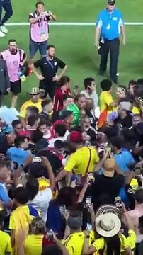 Pelea Jugadores contra hinchas