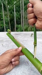 Bamboo_Creations_with_Slingshots_#bamboo_#Toys_#Diy(1440p)