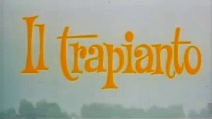 Il Trapianto (1969) - Classic Film with Carlo Giuffré & Renato Rascel 🎬