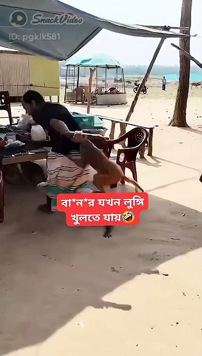 Funny video
