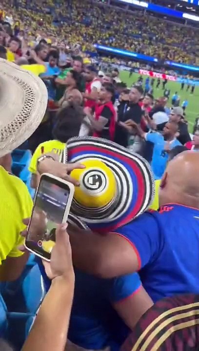 Le footballeur Darwin Nunez monte dans les tribunes se battre avec des supporters !