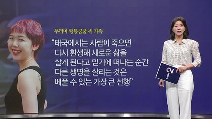 태국에서 온 천사...한국인 5명 살렸다 [앵커리포트] / YTN