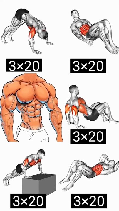 Ultimate Push Up Exercises for Sixpack, Abs & Chest Muscle workout #Abs #Chest #Muscles #pushups #exercise #workout #shoulder #lossfat