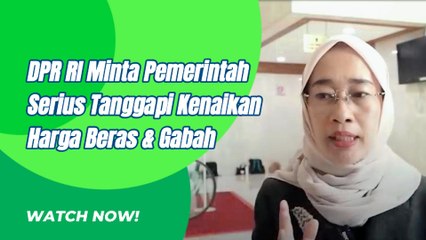 DPR RI Minta Pemerintah Serius Tangani Kenaikan Harga Beras & Gabah