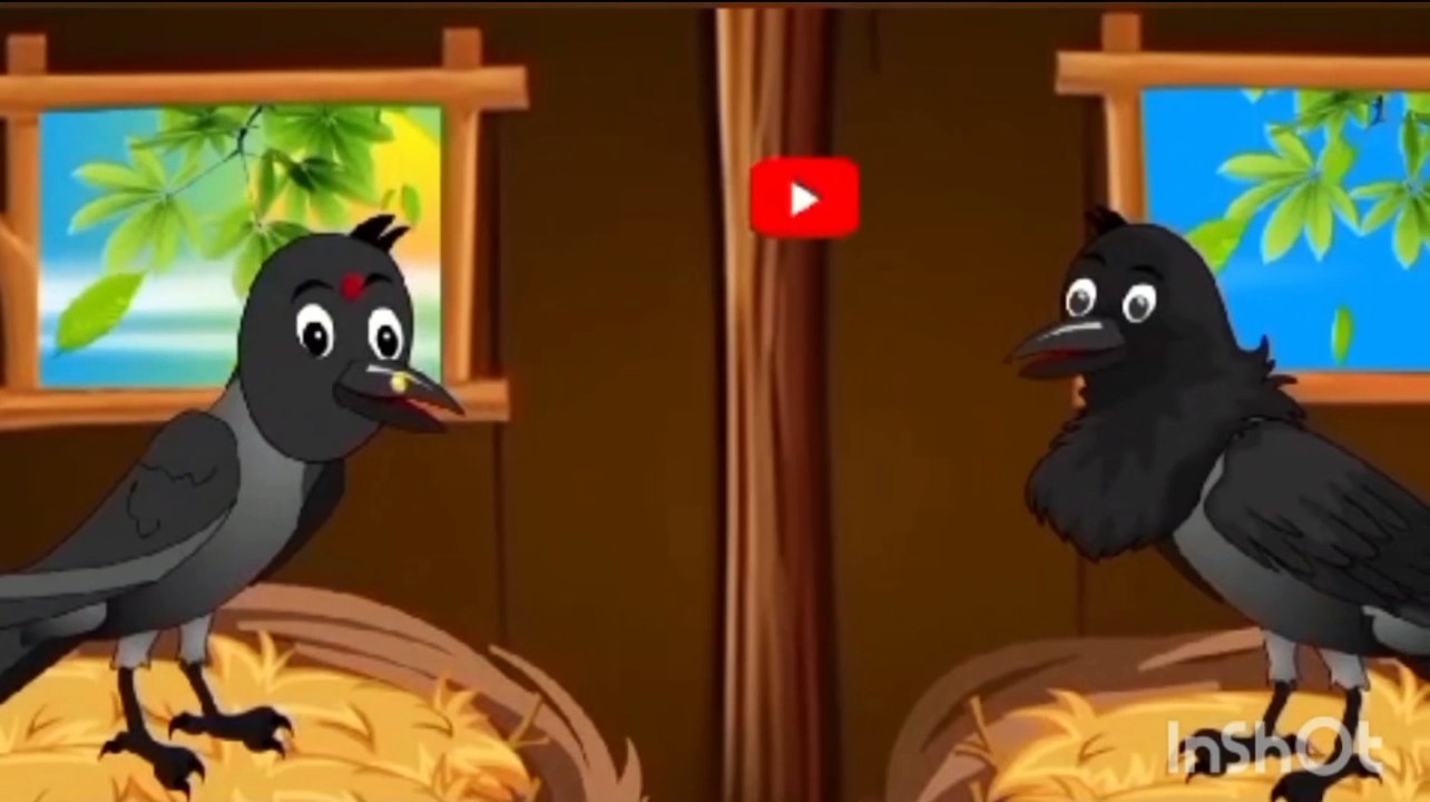 شکاری چیل نکلی گوری کی رشتےدار