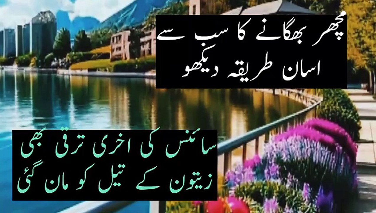 zaitoon ke tel ke fayde#mac