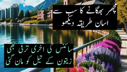 zaitoon ke tel ke fayde#mac