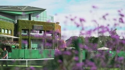 Wimbledon - Musetti écarte Fritz et rejoint Djokovic en demi-finales