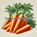 Healthy Foods: Carrots