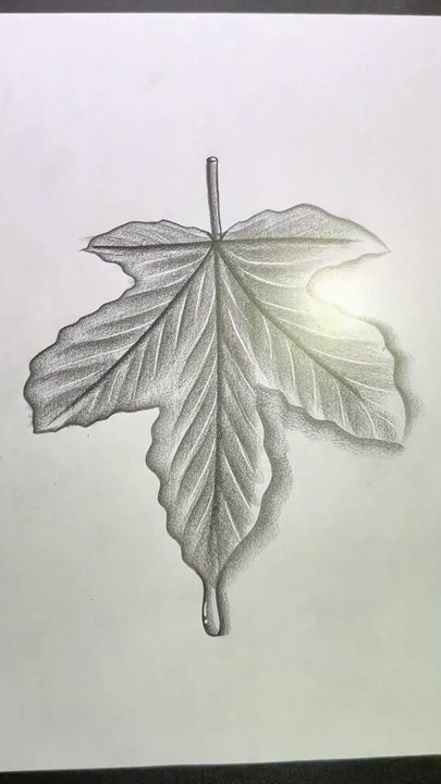 Easy and Amazing Pencil Drawing #pencildrawing #pencilart #reel #draw #art #viral #trending