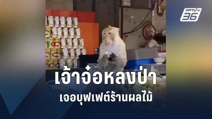 เจ้าจ๋อหลงป่า เจอบุฟเฟต์ร้านผลไม้  | PPTV Online