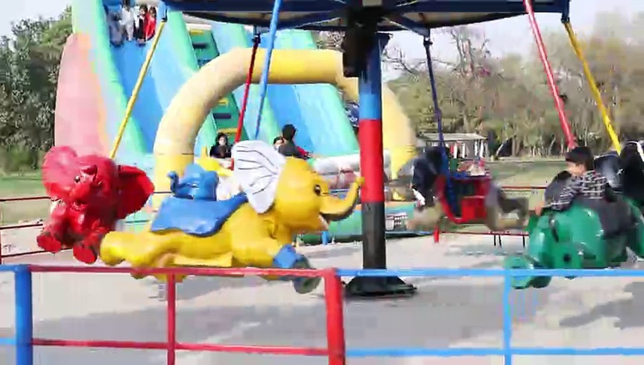 Park Enjoyment