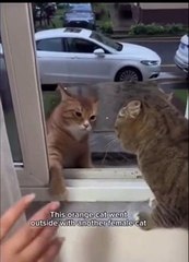 Quand tu rentres à la maison avec le parfum d'une autre sur toi