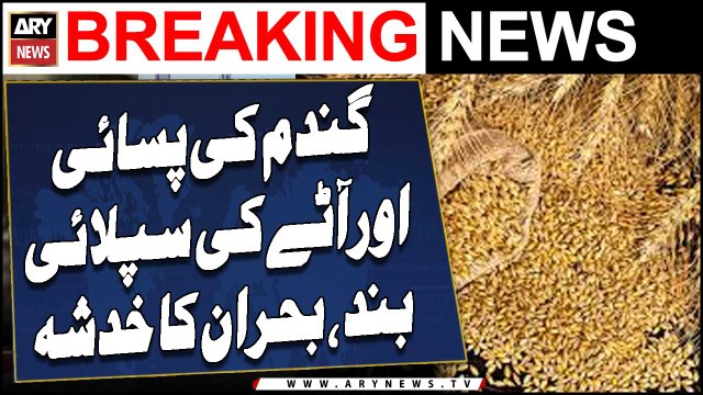 Gandum ki pisai or aatay ki supply band, Buhran ka khadshah