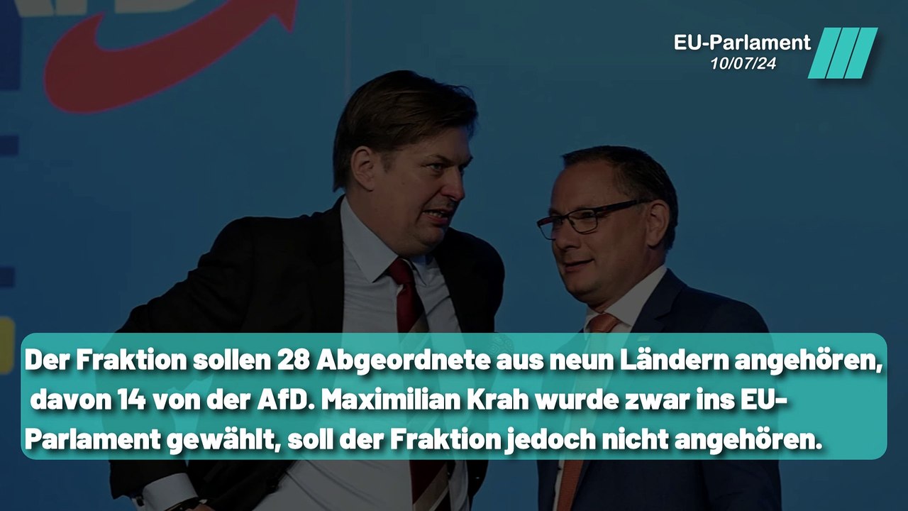 Europaparlament: AfD erfüllt Voraussetzungen für Fraktionsbildung