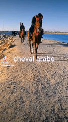 Voici ma nouvelle vidéo