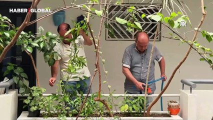 İzmir'de iki kardeş, apartmanı botanik bahçesine çevirdi