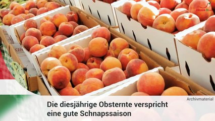 Kurznachrichten aus Ungarn am 11.07.2024