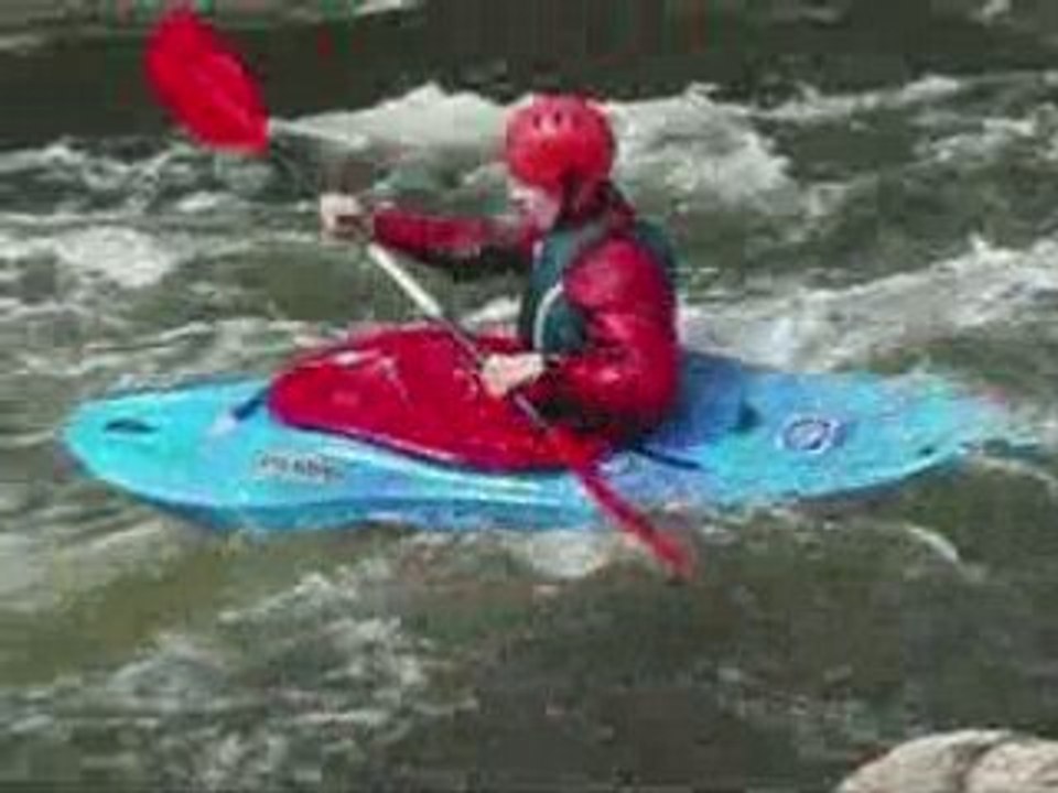 Pyrénées  (Avril 2008 )