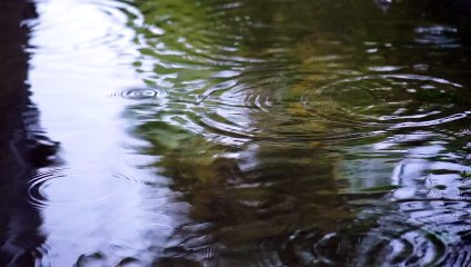 mixkit-rain-falling-on-the-water-of-a-lake-seen-up-18312-full-hd