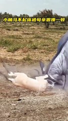 0711-02_1720690172760