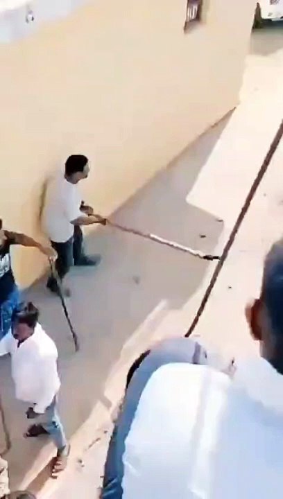 Jaguar attacked on people's