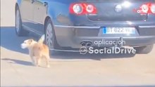 Conduce con un perro atado al coche en León: el vídeo deja de piedra a miles