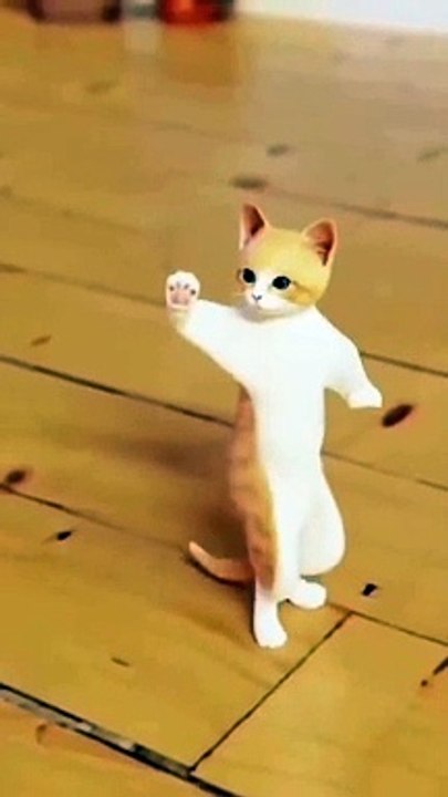 Dancing cat