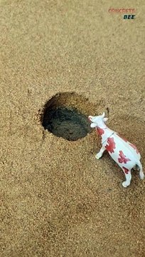 Mini Chaff Cutter Machine Project with Diesel Engine For Cow #short