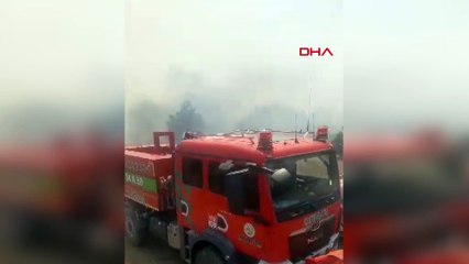 Edirne'de orman yangını