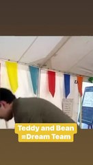 Mr Bean | Funny clips | Mr bean Official