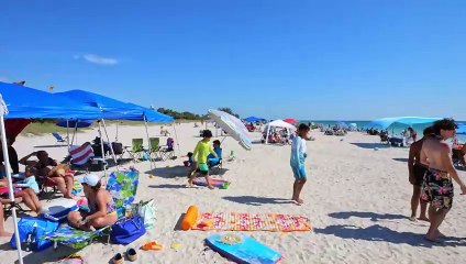 Nokomis Beach is the perfect place to enjoy the sun and community of Florida's Gulf Coast