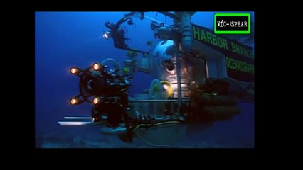 Galápagos: Mas allá de Darwin - Documental (1996) - Español Latino *Juan Carlos Tinoco*