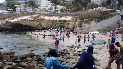 San Diego La Jolla Cove