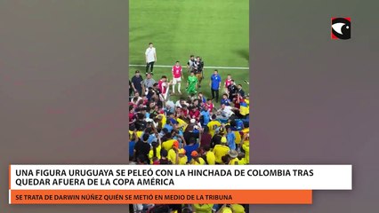 Una figura uruguaya se peleó con la hinchada de Colombia tras quedar afuera de la Copa América