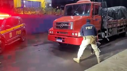 Cães encontram 200 kg de maconha em fundo falso de caminhão em rodovia do RS