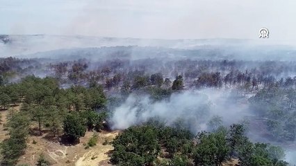 Edirne'de Bulgaristan sınırında orman yangını