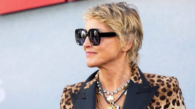 Sharon Stone Perdió 18 Millones De Dólares Por Culpa De Su Derrame Cerebral