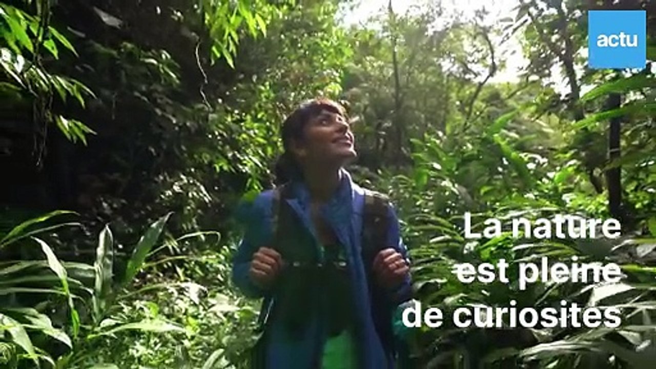 Newsletter Petite Nature du 10/07