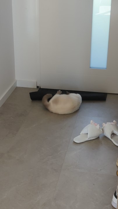 Voici ma nouvelle vidéo