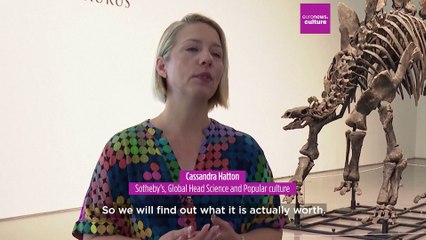 Extraordinary 161-million-year-old Stegosaurus to go up for auction at Sotheby's