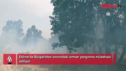 Edirne'de Bulgaristan sınırında orman yangını