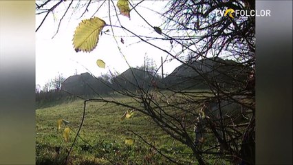 Anton Achitei - Stejarel de la Guranda (arhiva TVR)