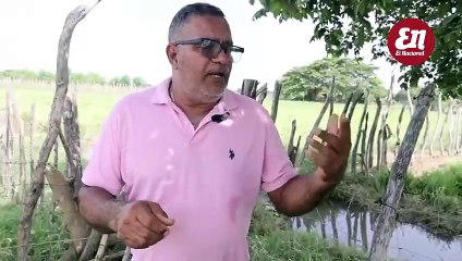 Denuncian entrada ilegal de chivos a RD desde Haití