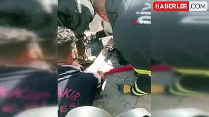 Diyarbakır'da bodrum katında yangından kurtarılan yavru kediye oksijen verildi