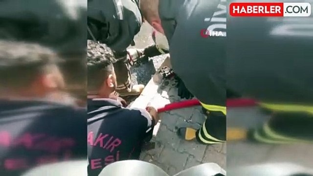 Diyarbakır'da bodrum katında yangından kurtarılan yavru kediye oksijen verildi